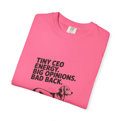 Dachshund — Tiny CEO energy. Big opinions. Bad back