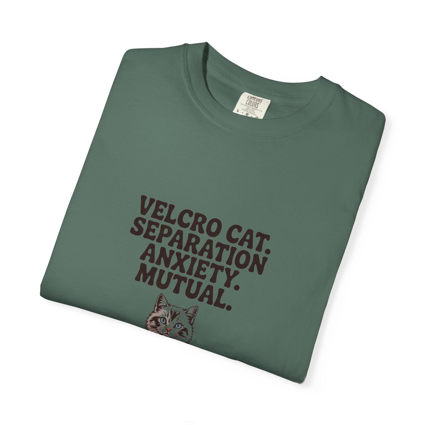 Ragdoll — Velcro cat. Separation anxiety. Mutual
