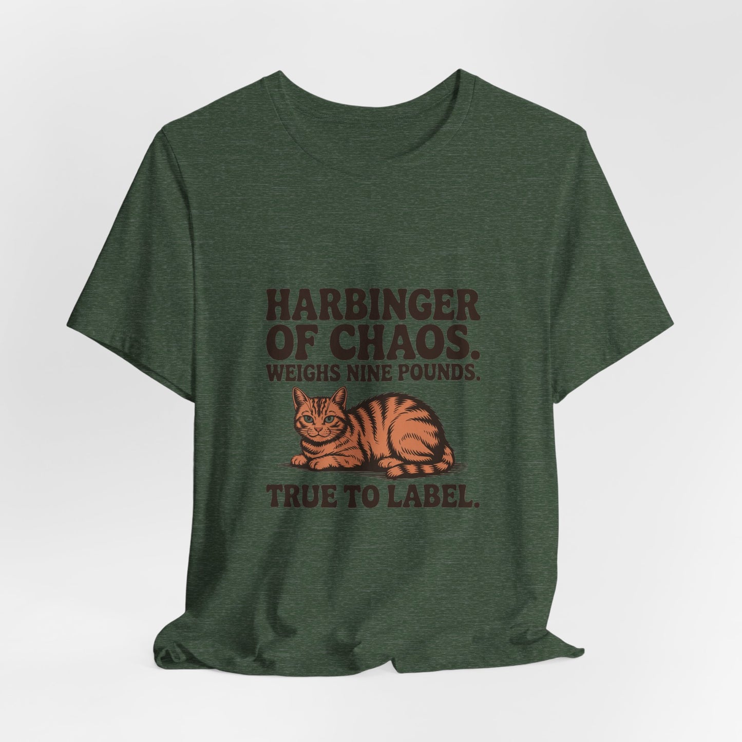 Orange Tabby — Harbinger of chaos. Weighs nine pounds