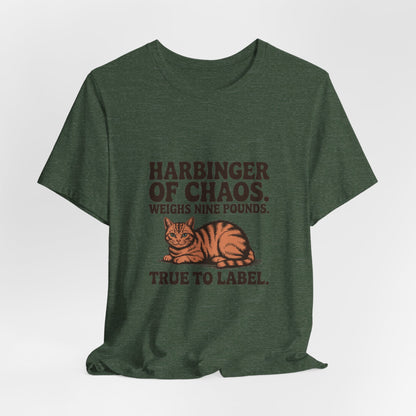 Orange Tabby — Harbinger of chaos. Weighs nine pounds