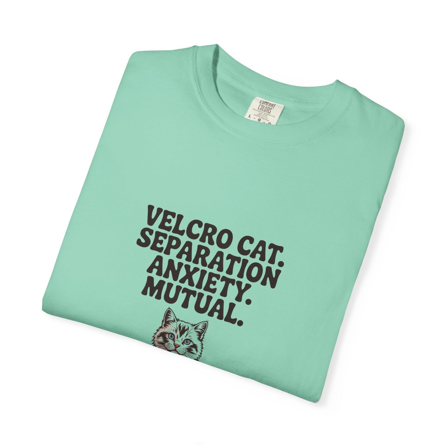 Ragdoll — Velcro cat. Separation anxiety. Mutual