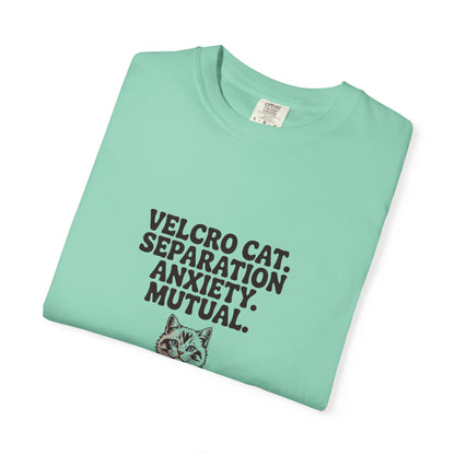 Ragdoll — Velcro cat. Separation anxiety. Mutual