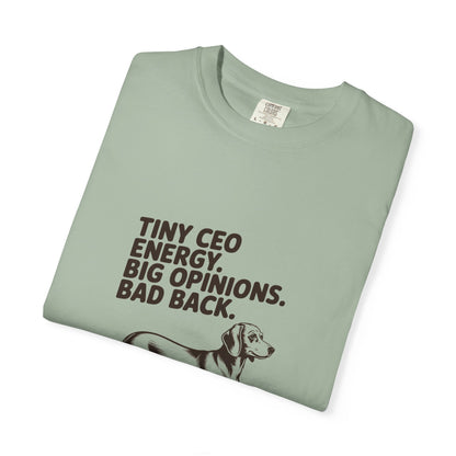 Dachshund — Tiny CEO energy. Big opinions. Bad back